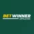 Betwinner Partners